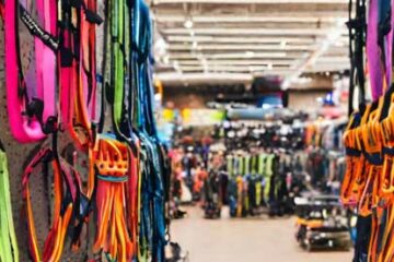 Comment choisir votre baudrier d’escalade?