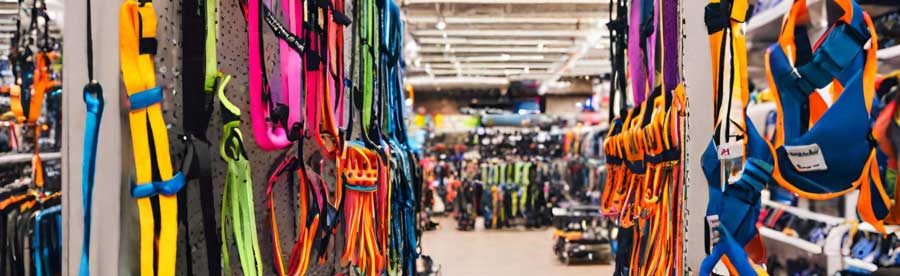 baudrier et harnais d'escalade bien les choisir